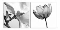 Set of Two White Canvas Square Framed Art