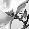 Set of Two White Canvas Square Framed Art
