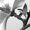 Set of Two White Canvas Square Framed Art