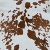 24" X 36" Salt And Pepper, Brown And White Calfskin - Area Rug