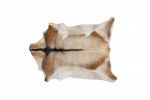 2' X 3' Tan And White Cowhide Cowhide Print Hand Woven Area Rug