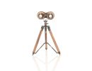 11" Brass Metal Hand Painted Tri-pod Binoculars Figurine Tabletop Sculpture
