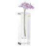 9" Clear Square Lead Free Crystal Table Vase