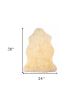 2' X 3' Beige Shag Area Rug