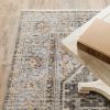 5' X 8' Gray And Blue Medallion Distressed Area Rug