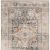 5' X 8' Gray And Blue Medallion Distressed Area Rug