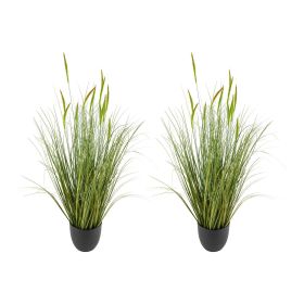 Artificial Grass Plant, 2 Pack 35 inch Cattail Grass in Pot